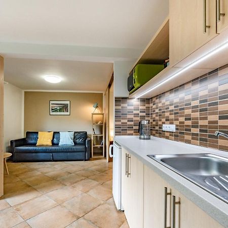 Apartment Václavov Decin Esterno foto