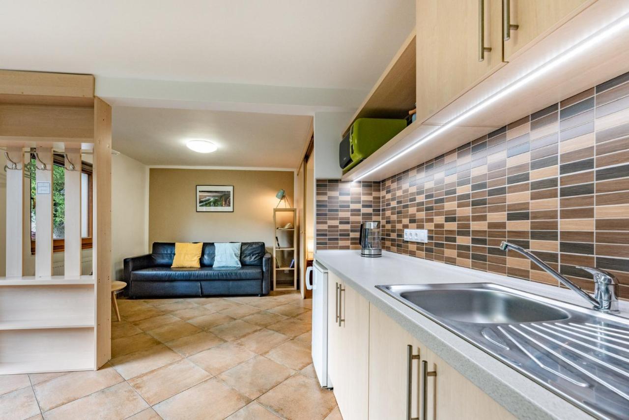 Apartment Václavov Decin Esterno foto