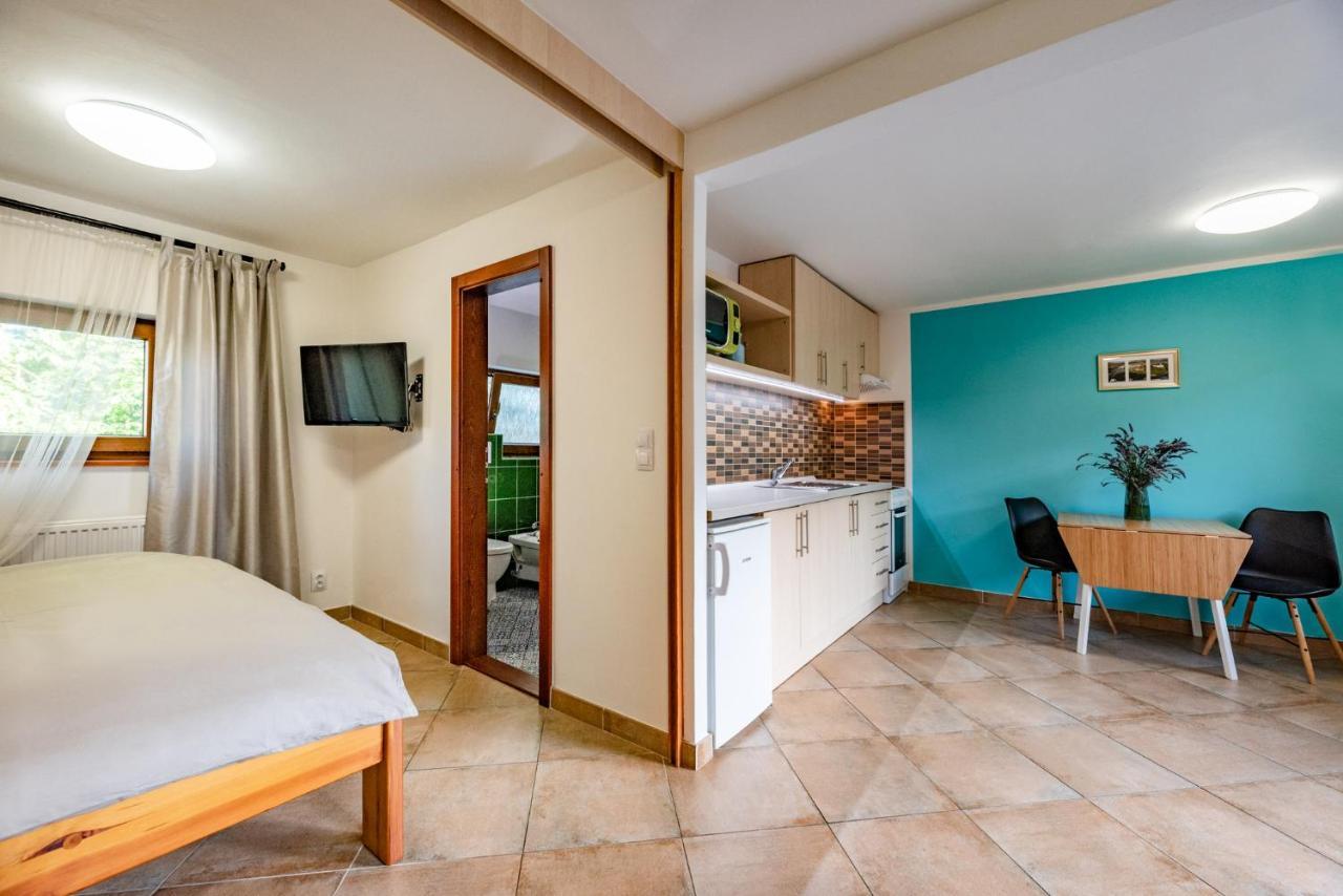 Apartment Václavov Decin Esterno foto